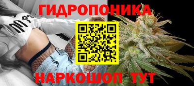 не бодяженный Сланцы