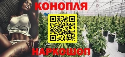 не бодяженный Сланцы