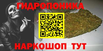 не бодяженный Сланцы
