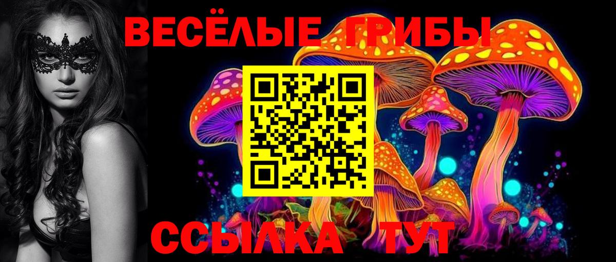 Омск  где найти наркотики  Псилоцибиновые грибы Psilocybe  Вход с VPN  Псилоцибиновые грибы Psilocybe 